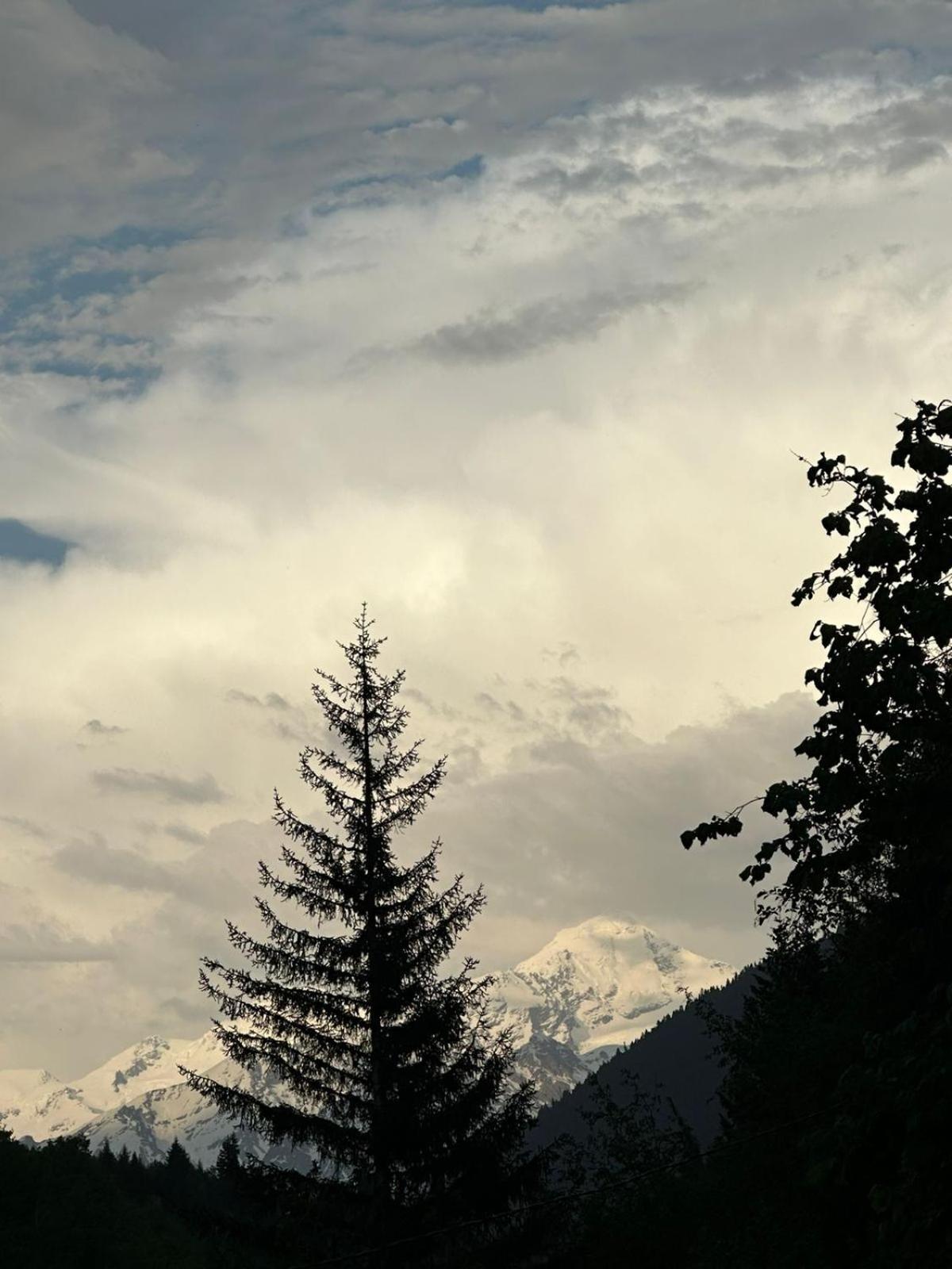 Mestiakhedi Buitenkant foto