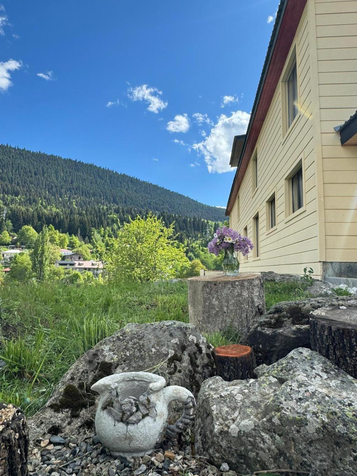 Mestiakhedi Buitenkant foto