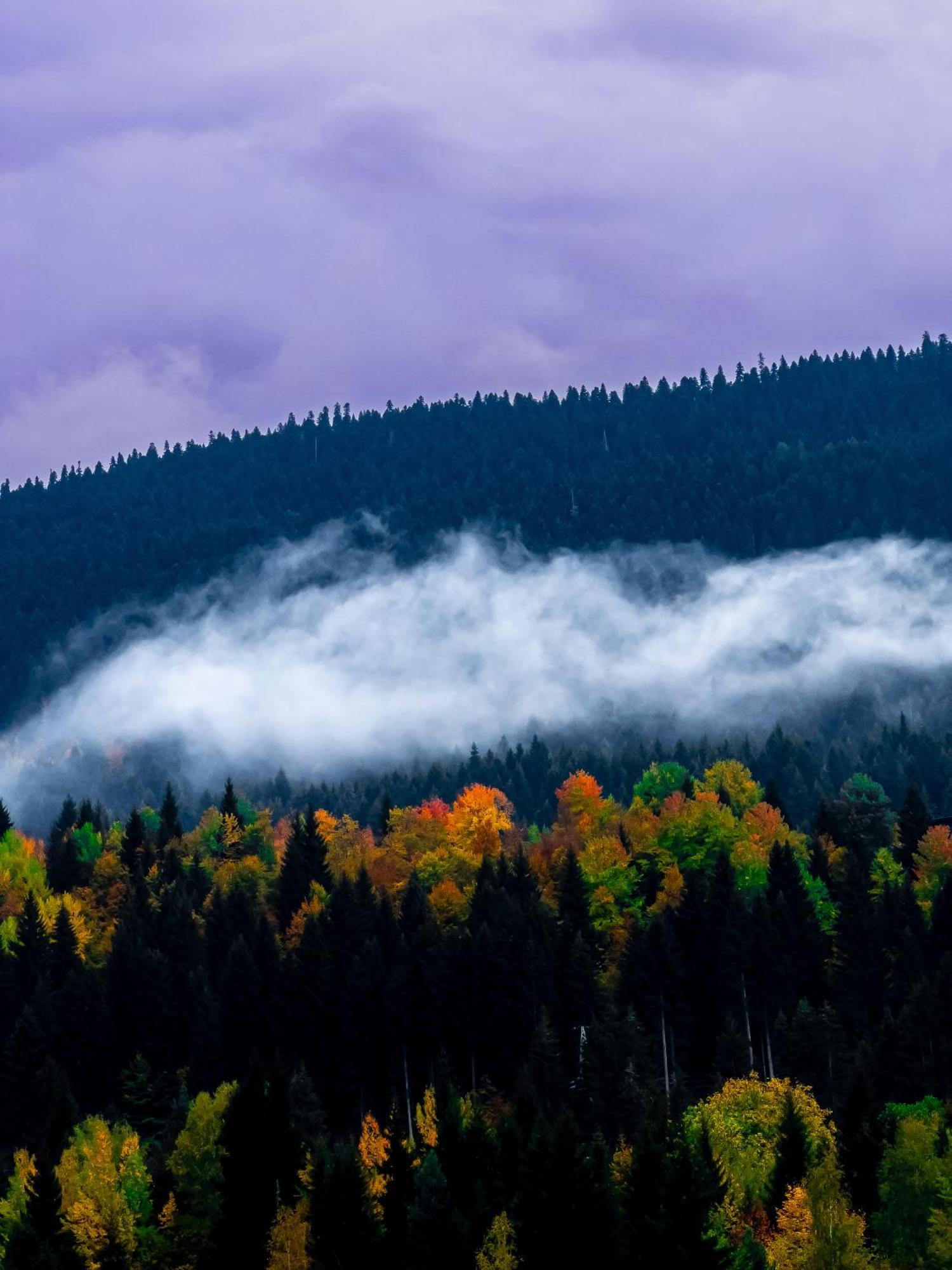 Mestiakhedi Buitenkant foto