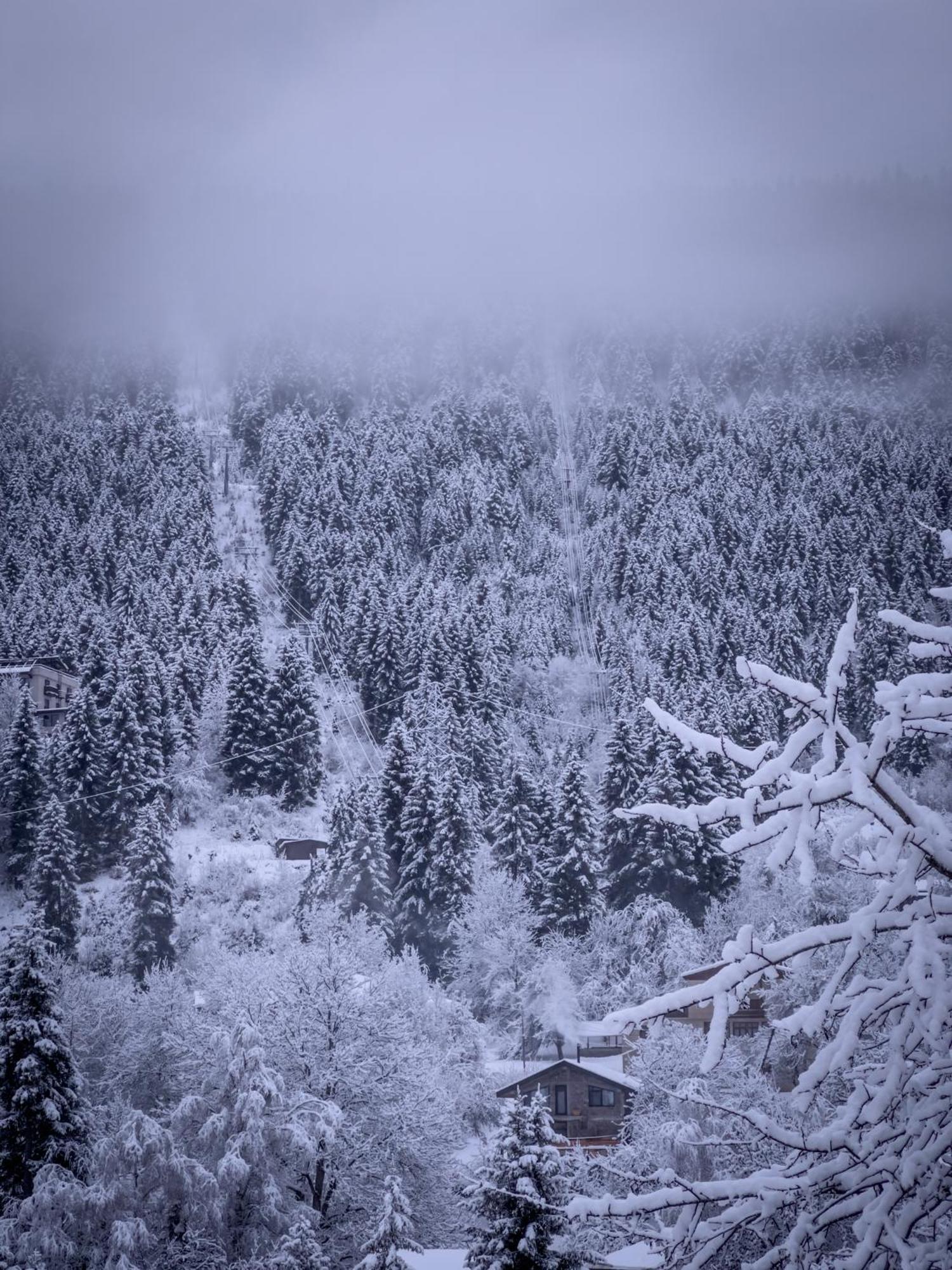 Mestiakhedi Buitenkant foto